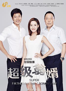 超级翁婿全集