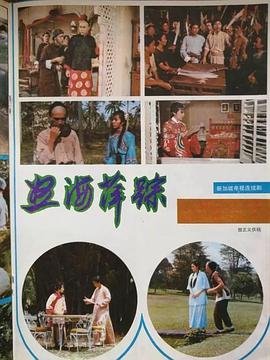 怒海萍踪全集