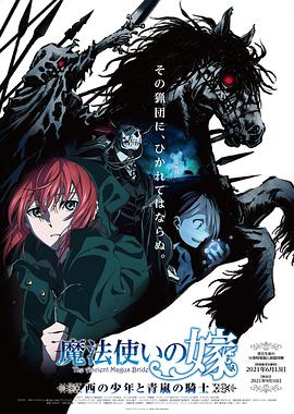 魔法使的新娘：西之少年与青岚的骑士全集