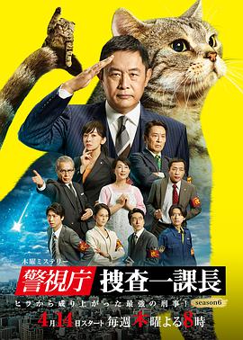 警视厅·搜查一课长第六季全集