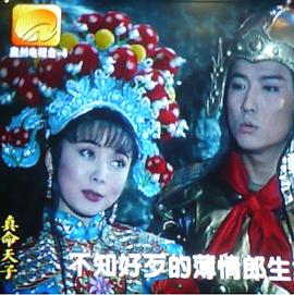 真命天子全集