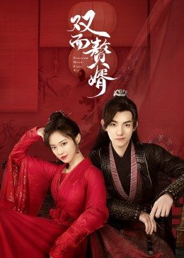 双面赘婿全集