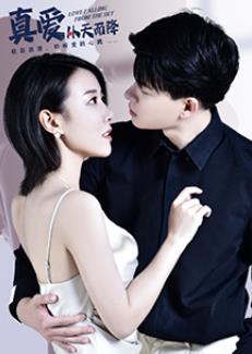 真爱从天而降全集