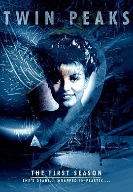 双峰第一季全集