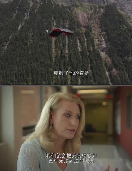 宠物的秘密生活第一季全集