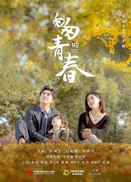 匆匆的青春全集