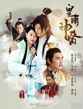 皇甫神医全集