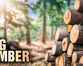 终极伐木达人第二季全集