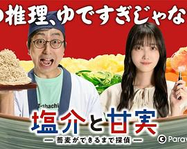 盐介与甘实全集