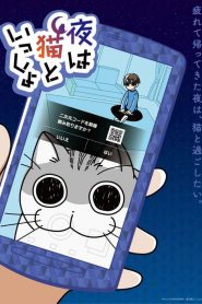 今晚有猫伴身边全集