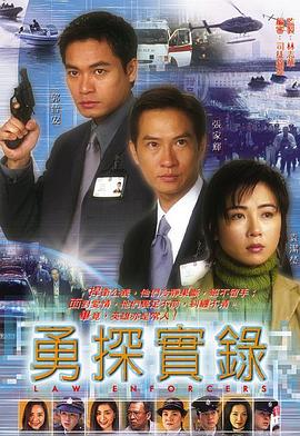 勇探实录全集
