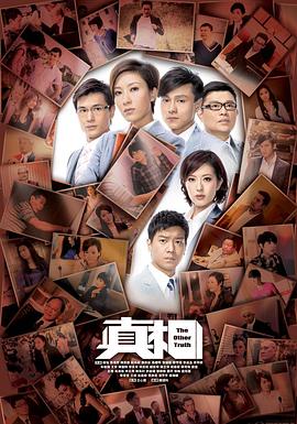 真相(2011)全集