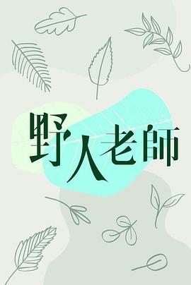 野人老师粤语版全集