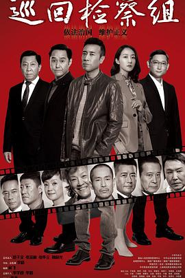 巡回检察组全集