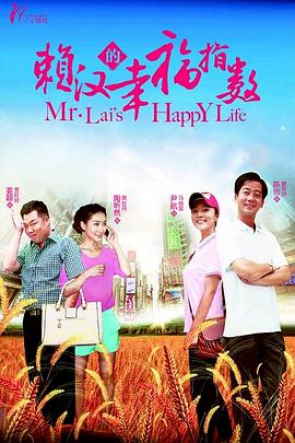 赖汉的幸福指数全集