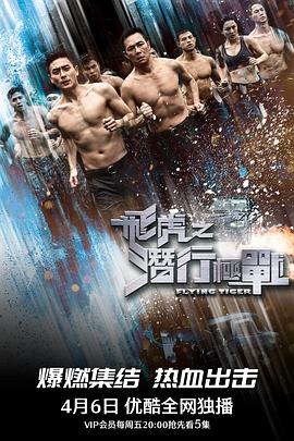 飞虎之潜行极战粤语版全集