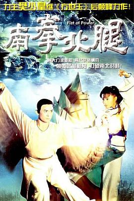 南拳北腿国语版全集