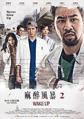 麻醉风暴2全集