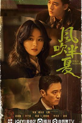 风吹半夏全集