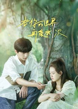 去你的世界再爱我一次全集