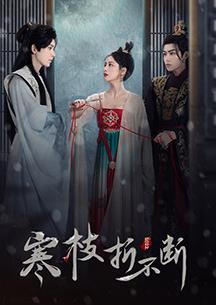 寒枝折不断全集