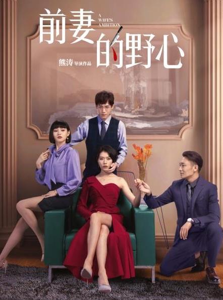 前妻的野心全集