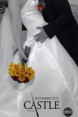 灵书妙探第六季全集