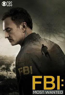联邦调查局：通缉要犯第一季全集