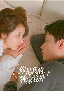 你是我的独家意外全集