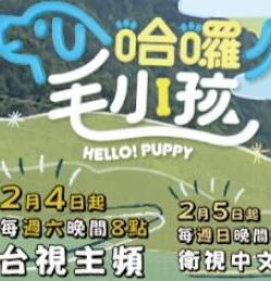 哈啰！毛小孩全集