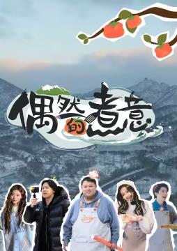 偶然的煮意全集