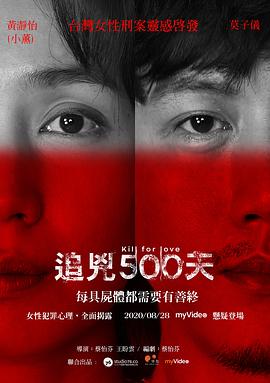 追凶500天全集
