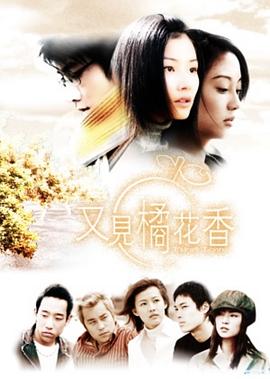 又见橘花香全集