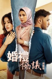 婚礼协议剧集版第一季全集