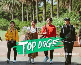 TOP DOG全集