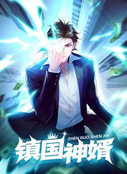 镇国神婿动态漫画全集