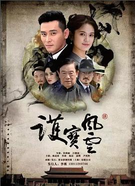 护宝风云全集