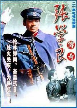 少帅传奇全集