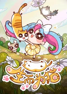 生而为猫全集