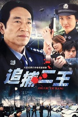 追捕二王全集