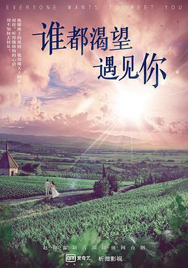 谁都渴望遇见你全集