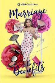 假扮夫妻第一季全集