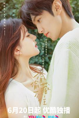 偷偷藏不住全集