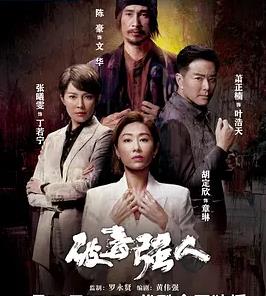 破毒强人粤语全集