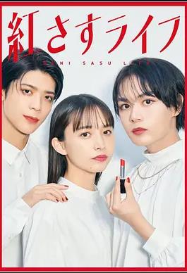 妆红人生全集