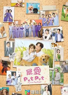 宠爱PetPet国语全集