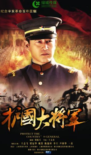 护国大将军全集