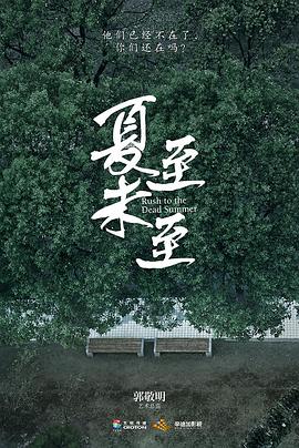 夏至未至全集