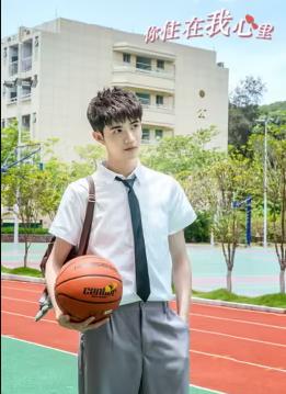 你住在我心里全集