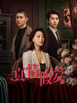 真情假爱全集